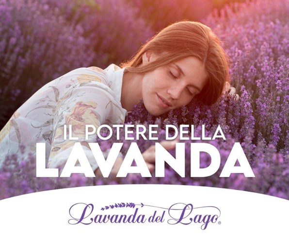 IL POTERE DELLA LAVANDA 