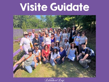 VISITA GUIDATA con PICNIC - 29 MARZO 2025 ore 11:00