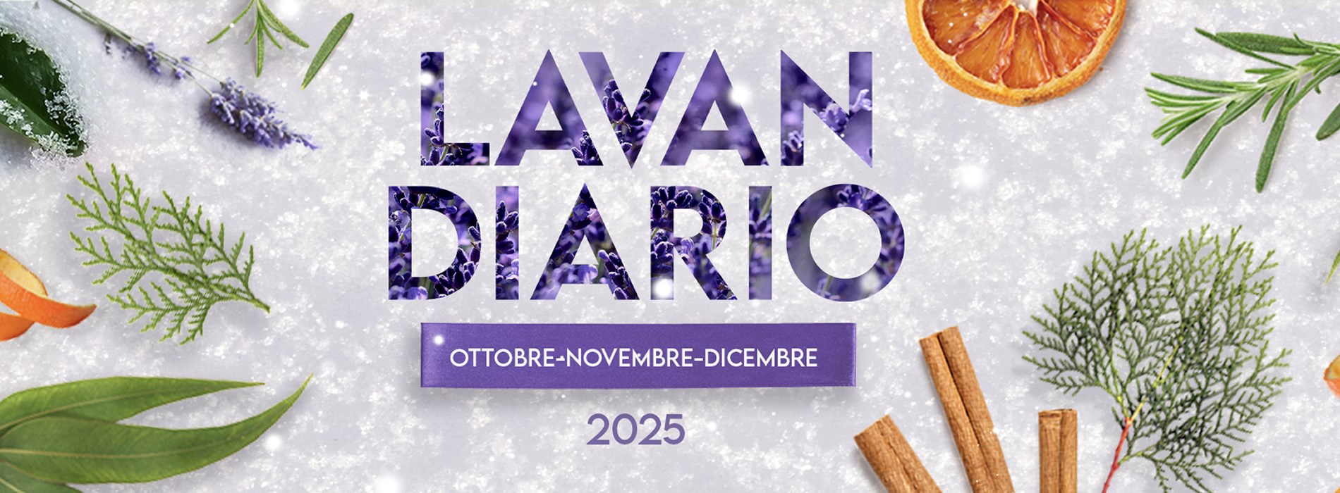 00_slider-lavandiario