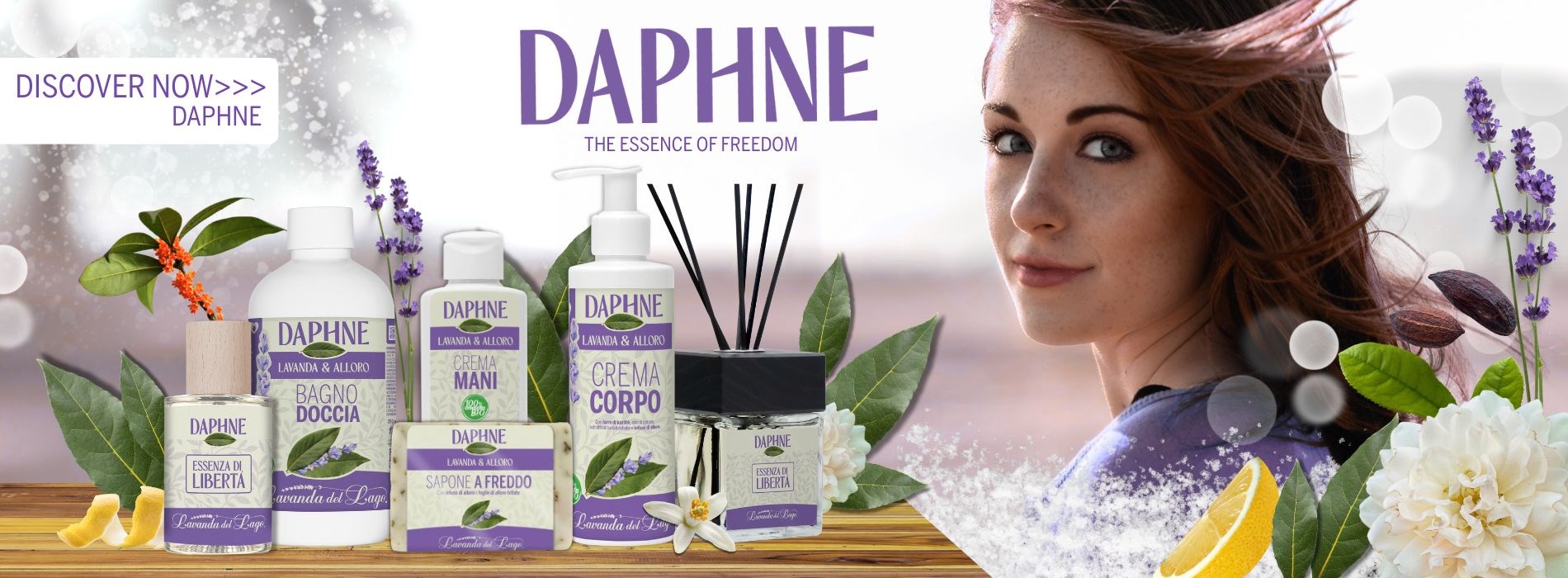 BANNER LANCIO DAPHNE eng