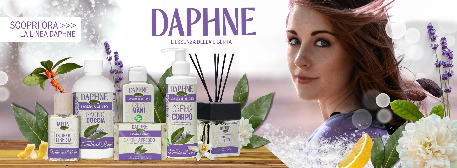 BANNER LANCIO DAPHNE