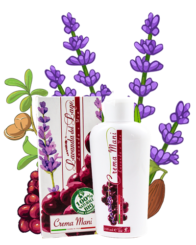 LAVANDA DEL LAGO and Grape Hand cream