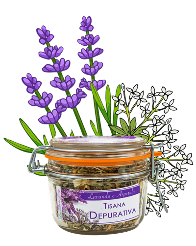 Tisana Depurativa in vaso ermetico