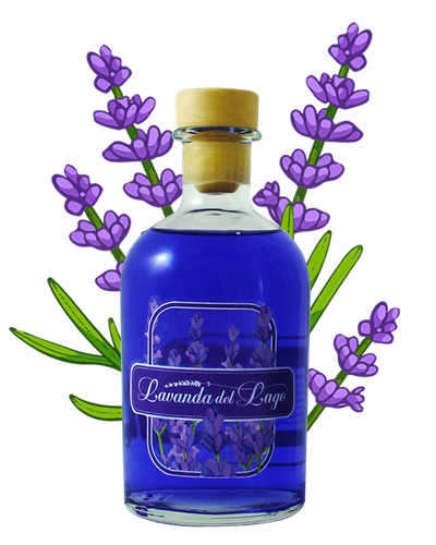 Ambientador 100 ml · Lavanda