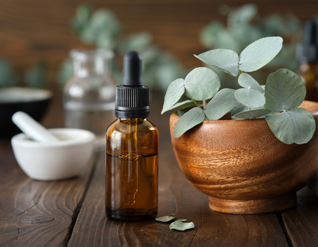 Eucalipto: Caratteristiche e Proprietà