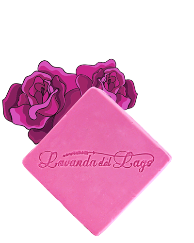 Saponetta mattonella Rosa