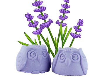 Owl shaped soap