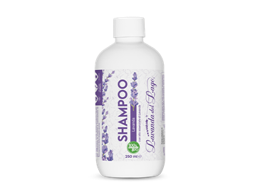 Shampoo · Lavanda